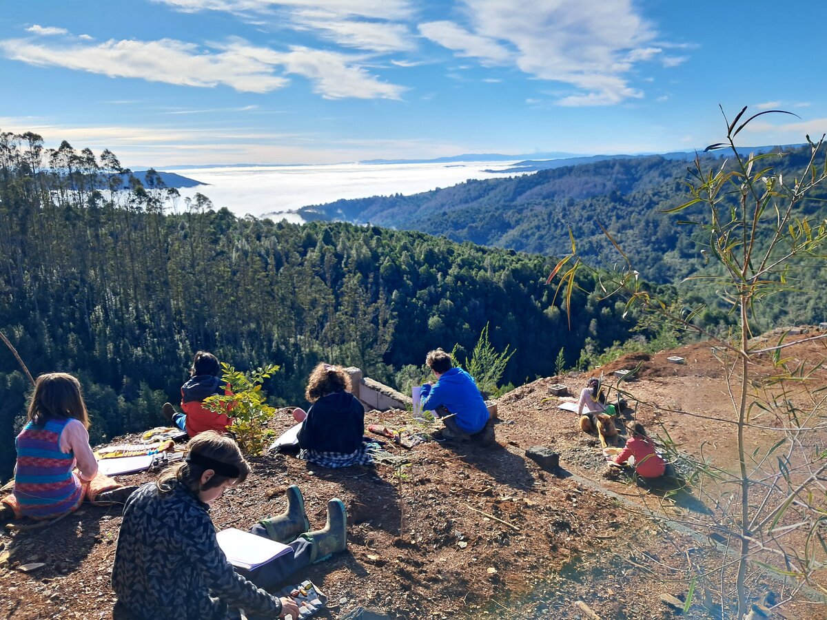 Conexión de estudiantes con la naturaleza en actividades al aire libre